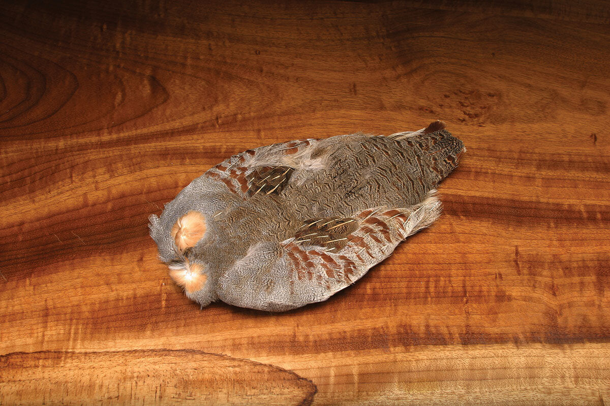 #1 Grade Natural Hungarian Partridge Skin – The Ultimate Choice for Spider Patterns and Soft Hackles