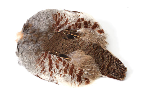 #1 Grade Natural Hungarian Partridge Skin – The Ultimate Choice for Spider Patterns and Soft Hackles