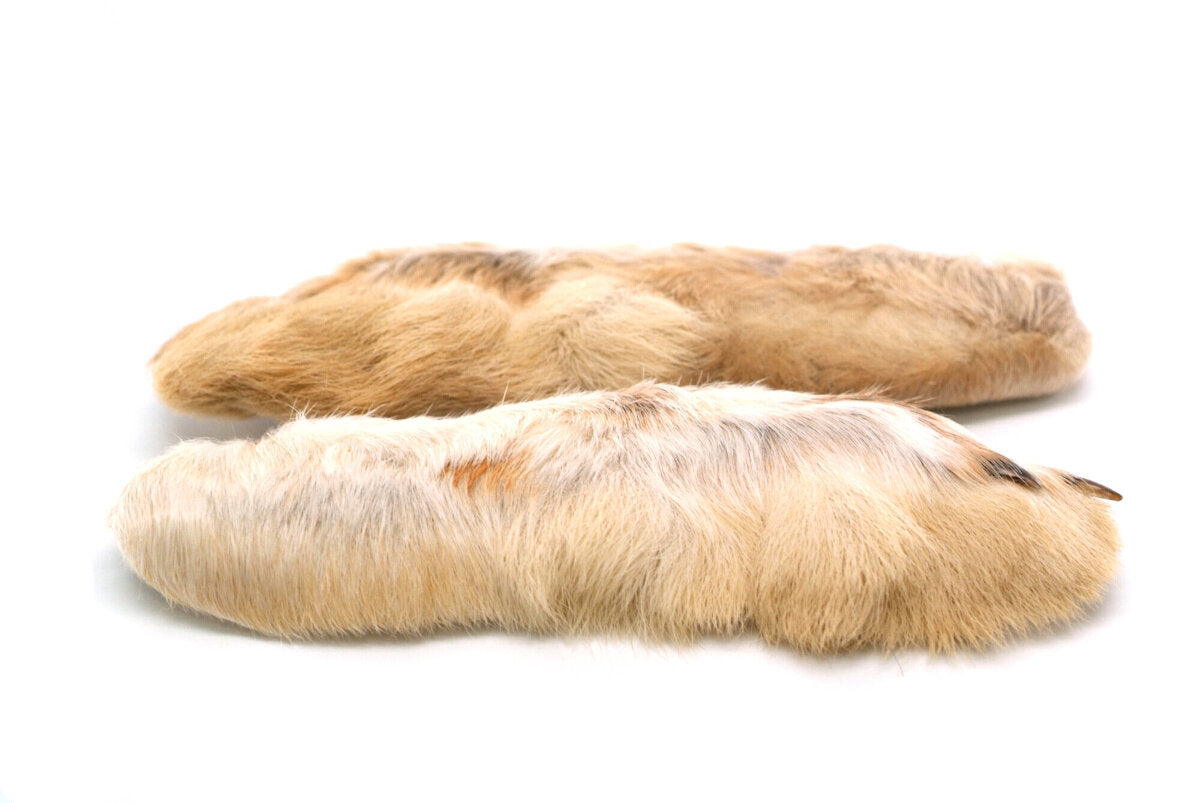 Snowshoe Rabbit Feet