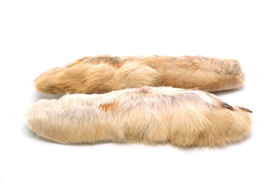 Snowshoe Rabbit Feet