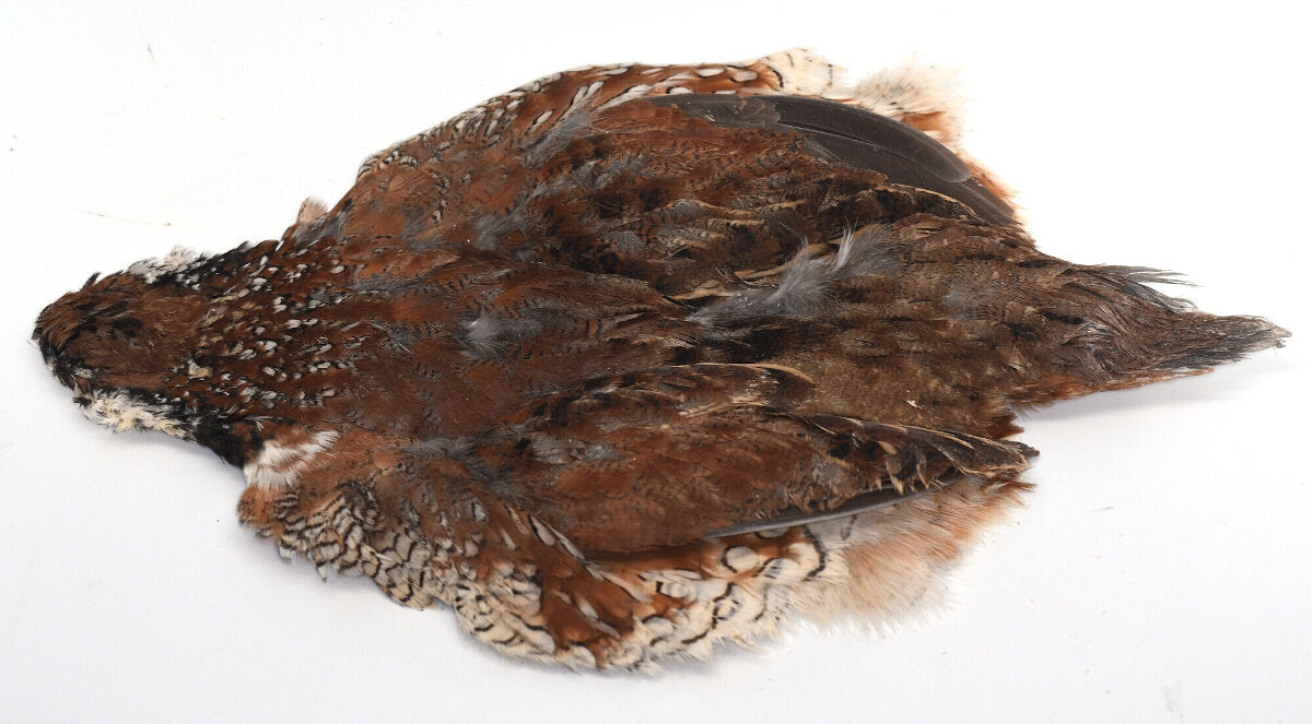 Mega Quail Skin