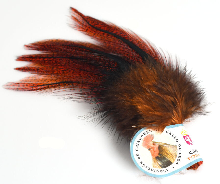 UV2 Coq de Leon Fire Perdigon Feathers