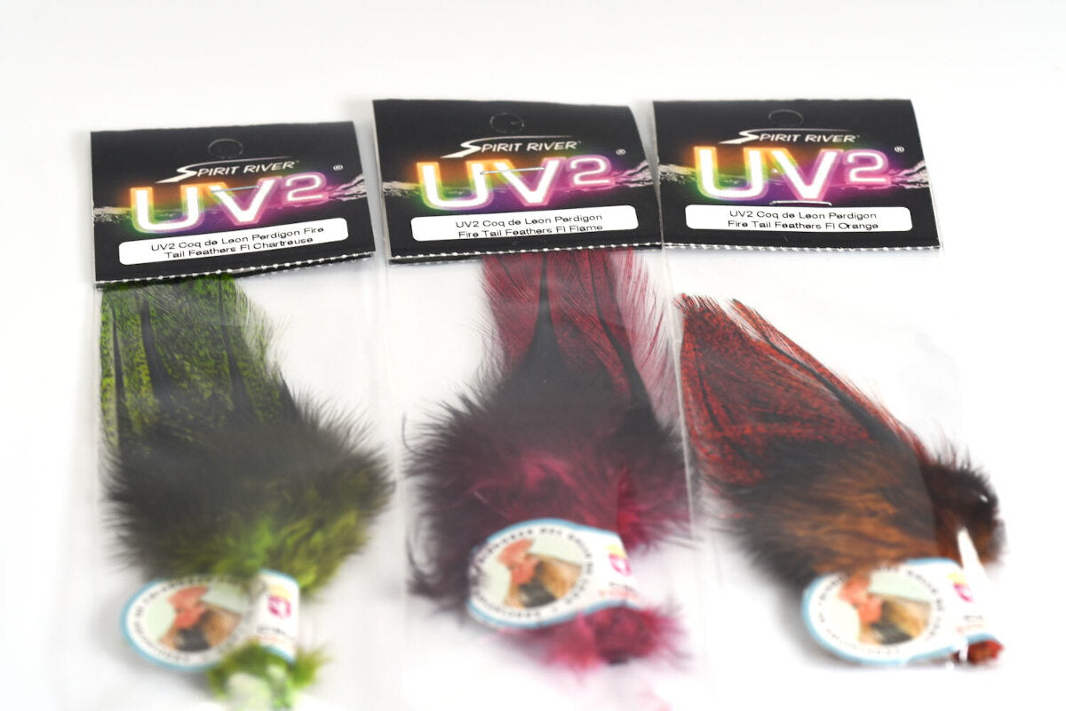 UV2 Coq de Leon Fire Perdigon Feathers