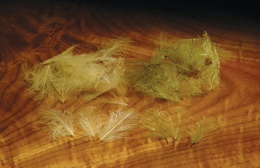 Cul De Canard (CDC Feathers) for fly tying