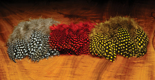 Strung Guinea Feathers