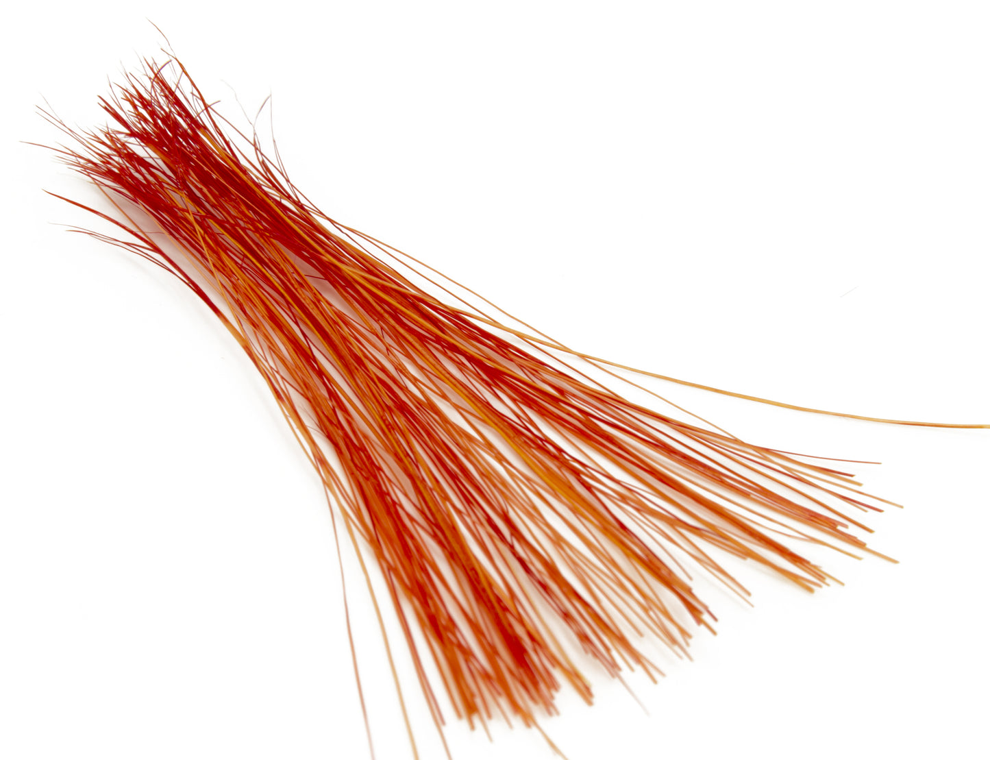 Semperfli Boar Bristles