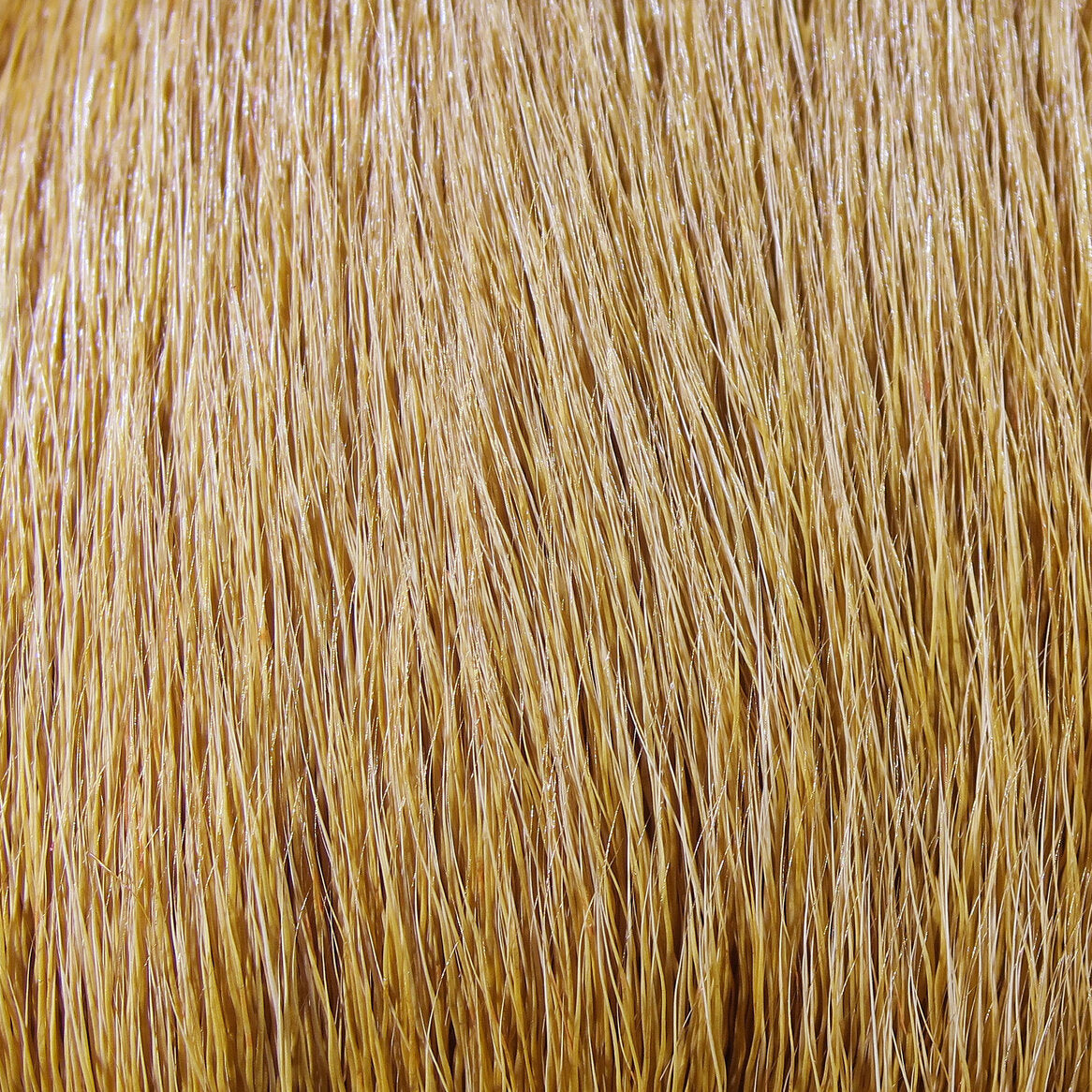 Deer Belly Hair Dyed From White