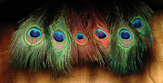 Peacock Eye Sticks