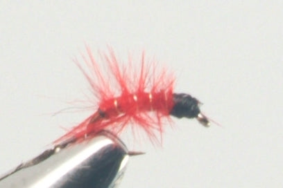 Red Marabou Midge