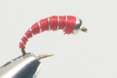 Red Zebra Midge