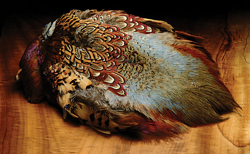 Ringneck Pheasant Skin