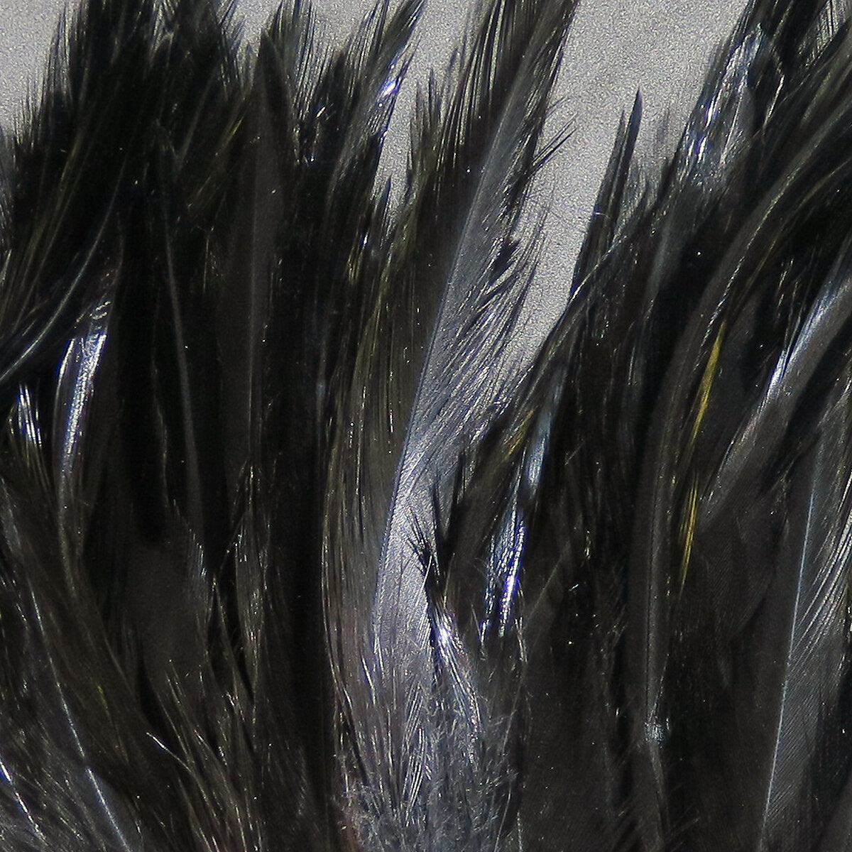 Woolly Bugger Saddle Hackle