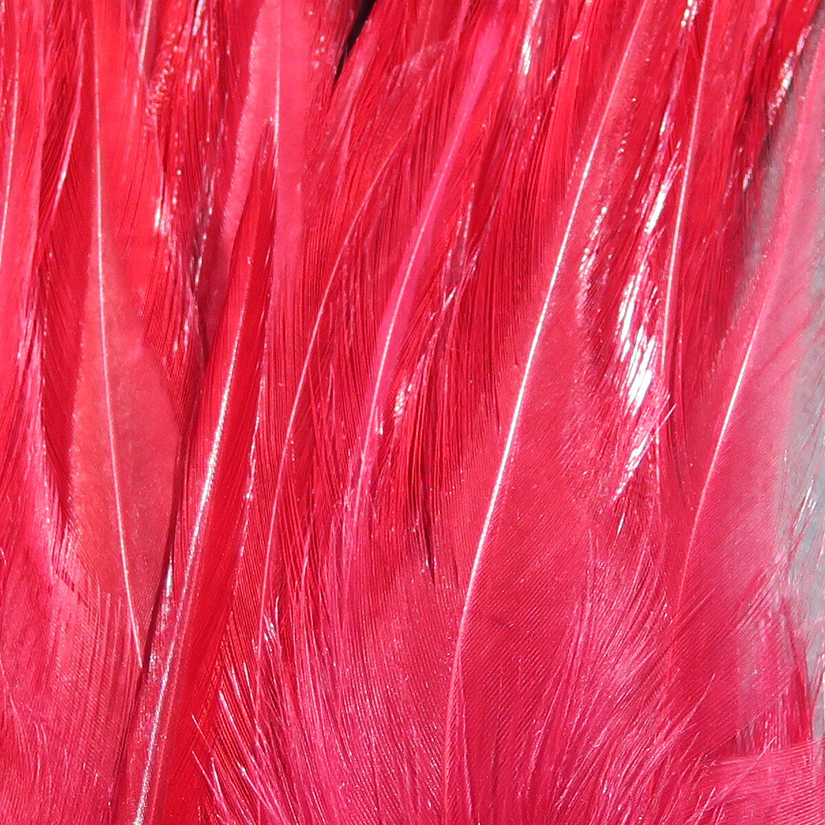 Woolly Bugger Saddle Hackle