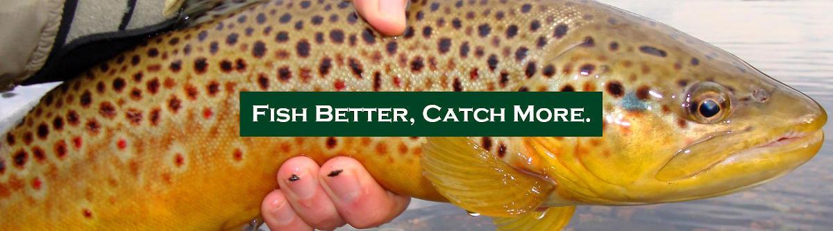 Brown Trout - Slider Picture for Dad's Fly Fishing Tips