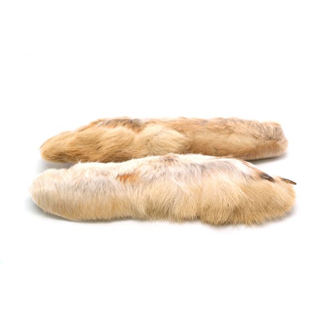 Snowshoe Rabbit Feet