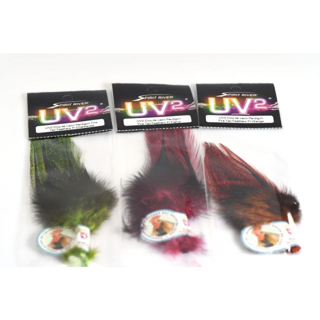 UV2 Coq de Leon Perdigon Fire Tail Feathers